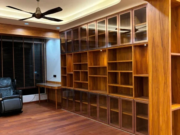 Study Area